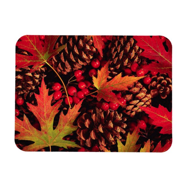 'Autum Beauty' Flexible Magnet  (Horizontal)