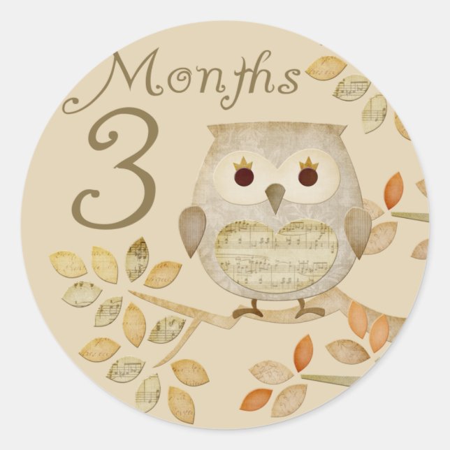 Autum Owl 3 Months Sticker (Front)