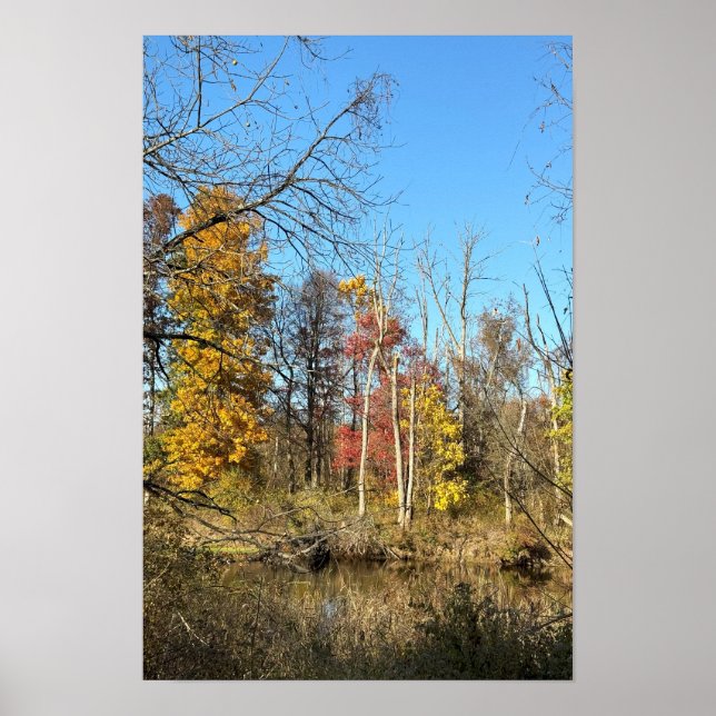 Autum Reflections on Creek Poster (Front)