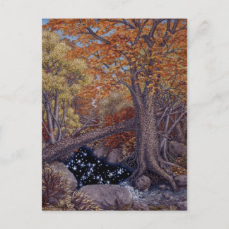 Autum Spring Postcard