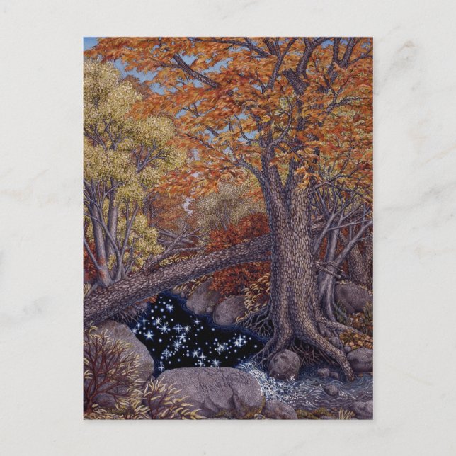 Autum Spring Postcard (Front)