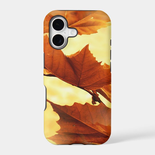 Autumn (Back)