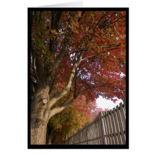 Autumn ~ 15