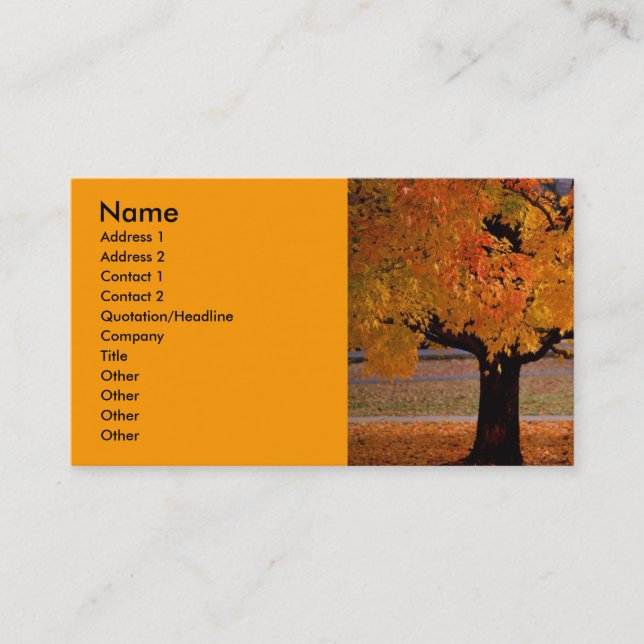 autumn (1), Name, Address 1, Address 2, Contact... Business Card (Front)