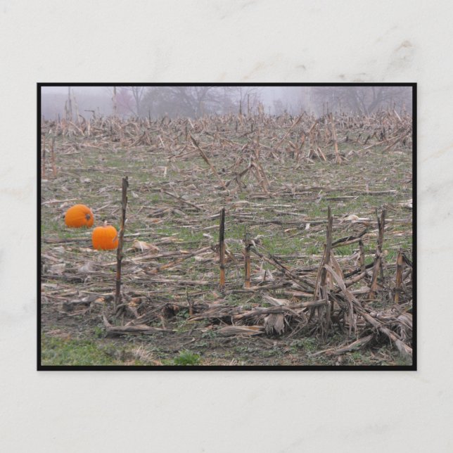 ~ Autumn ~ 20 Postcard (Front)