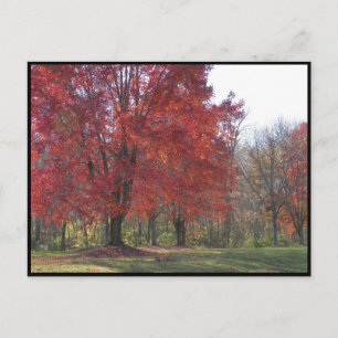 ~ Autumn ~ 29 Postcard