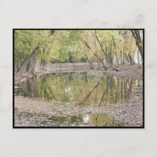 ~ Autumn ~ 38 Postcard
