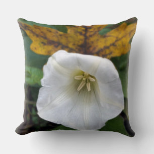 autumn after summer cushion