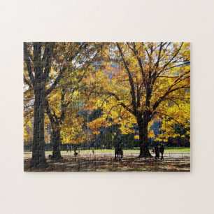 Autumn Afternoon in Central Park Jigsaw Puzzle