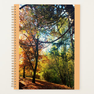Autumn Afternoon Planner