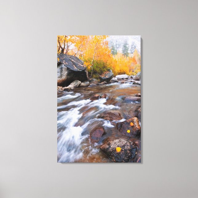 Autumn along Bishop Creek, CA Canvas Print (Front)