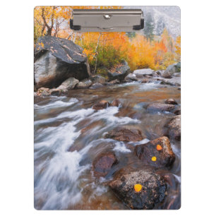 Autumn along Bishop Creek, CA Clipboard