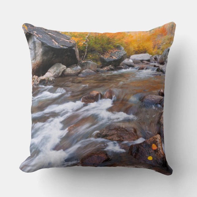 Autumn along Bishop Creek, CA Cushion (Front)