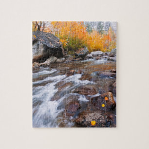 Autumn along Bishop Creek, CA Jigsaw Puzzle