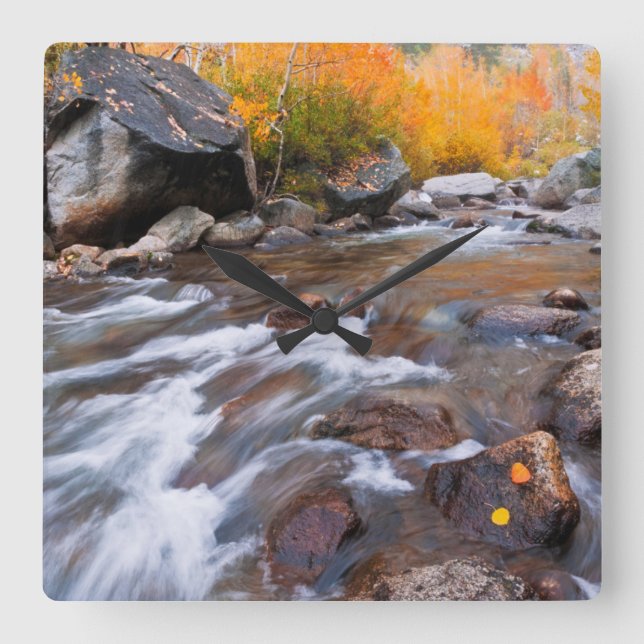 Autumn along Bishop Creek, CA Square Wall Clock (Front)