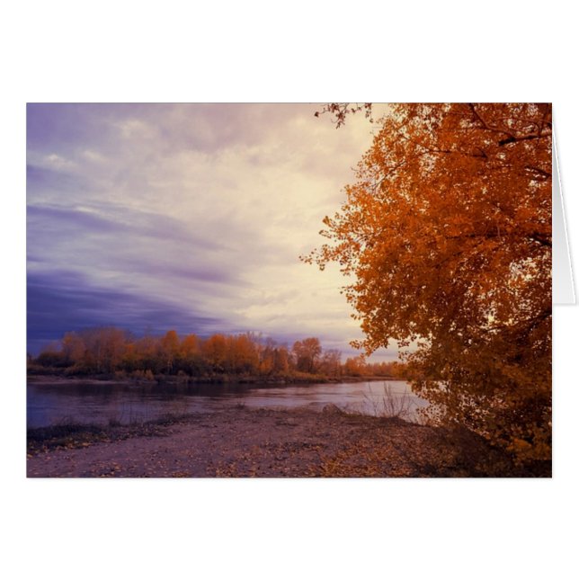 Autumn Along The River Note Card (Front Horizontal)