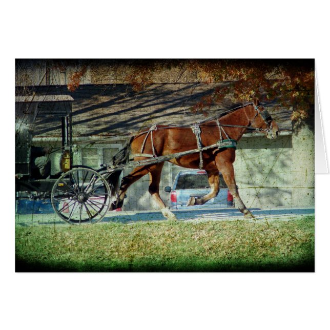 Autumn Amish Buggy Horse (Front Horizontal)