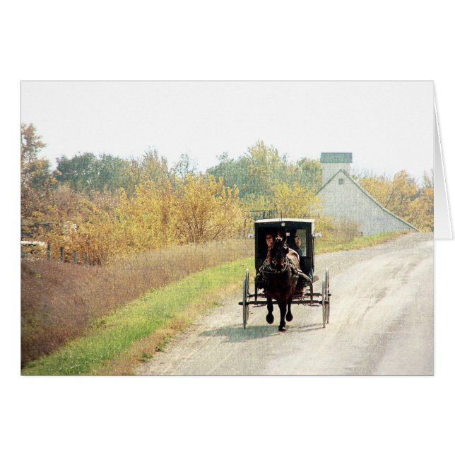 Autumn Amish Horse and Buggy (Front Horizontal)