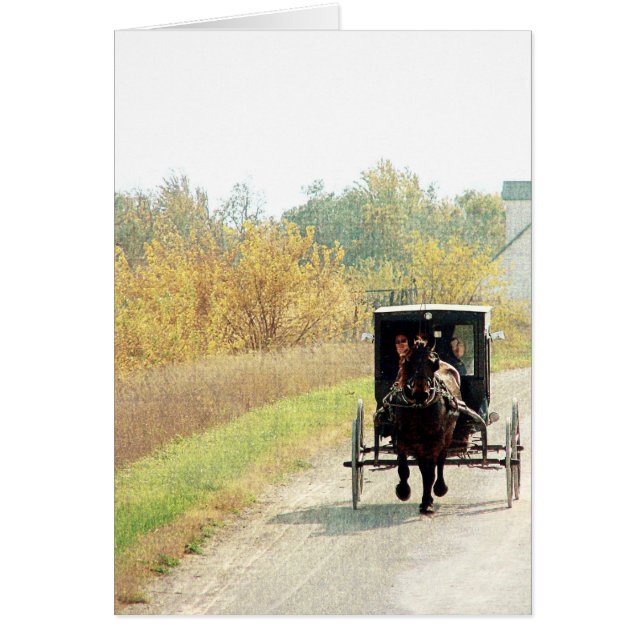 Autumn Amish Horse and Buggy (Front)