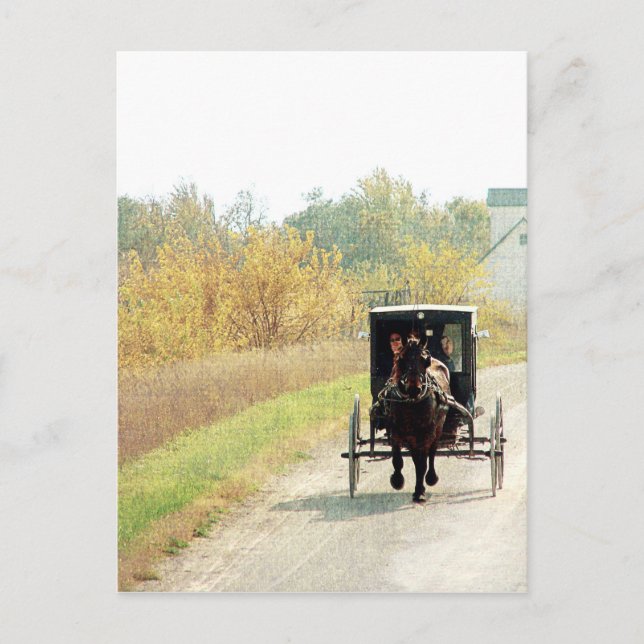 Autumn Amish Horse and Buggy Postcard (Front)