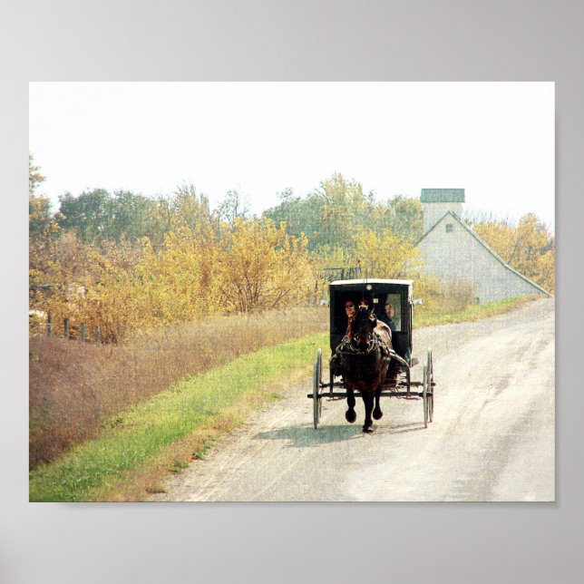 Autumn Amish Horse and Buggy Poster (Front)