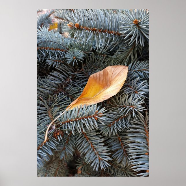 autumn and winter poster (Front)