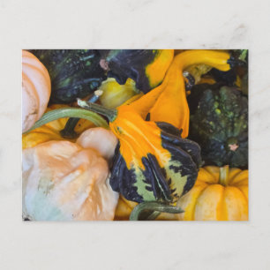 Autumn  announcement postcard