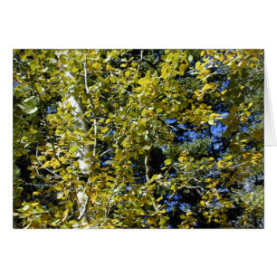 Autumn Aspen Leaves card
