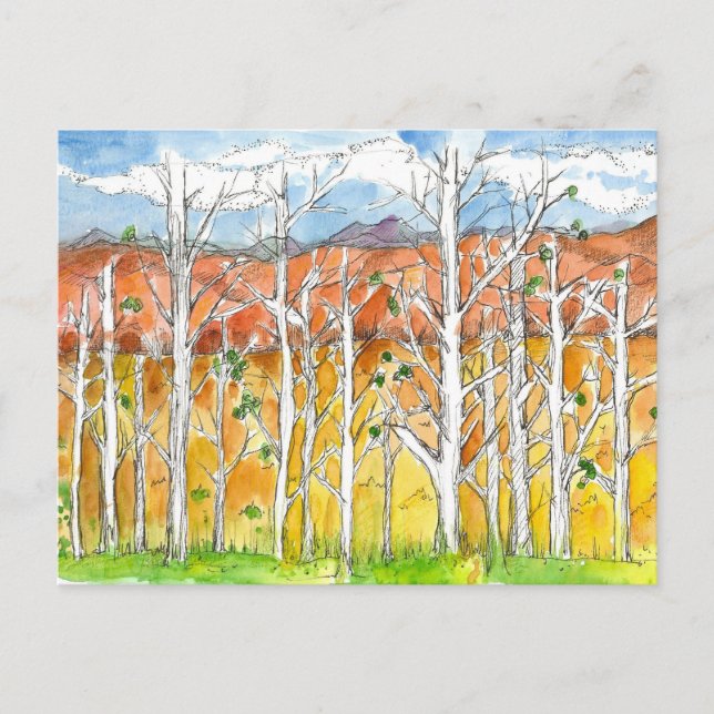 Autumn Aspen Trees Drawing Watercolor Postcard (Front)