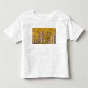 Autumn aspens in Kebler Pass in Colorado. Toddler T-Shirt