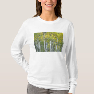 Autumn aspens in McClure pass in Colorado. T-Shirt