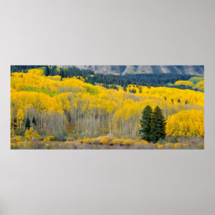 Autumn Aspens in the Ruby Range Poster