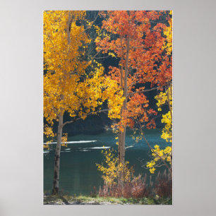 Autumn at Bear Lake Poster