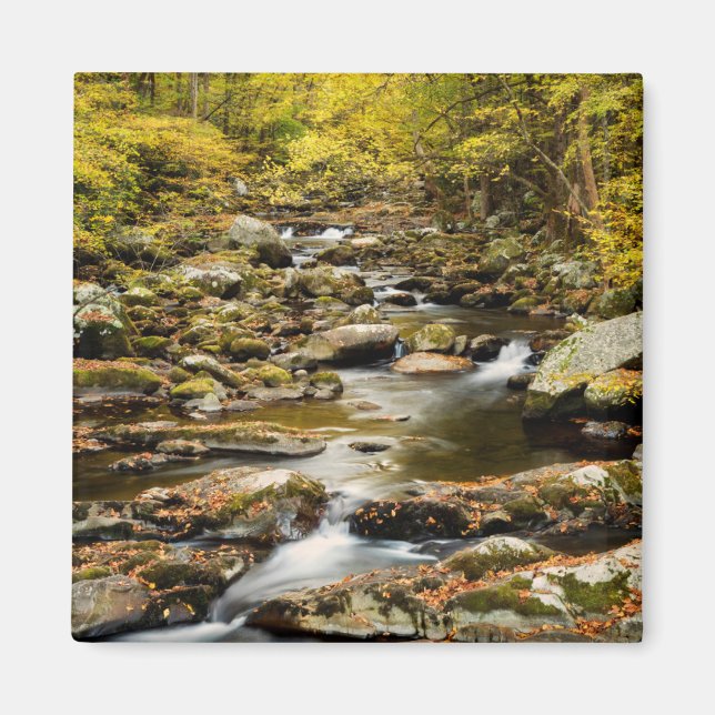 Autumn at Big Creek Magnet (Front)