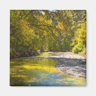 Autumn At Busiek Painterly Magnet