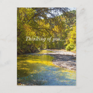 Autumn At Busiek Painterly Thinking Of U Postcard