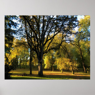 Autumn at Champoeg State Park, OR Poster