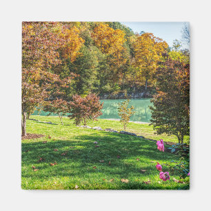 Autumn At Dogwood Magnet