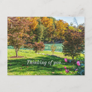 Autumn At Dogwood Thinking Of You Postcard