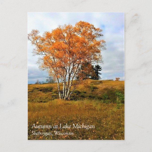 Autumn at Lake Michigan Postcard (Front)