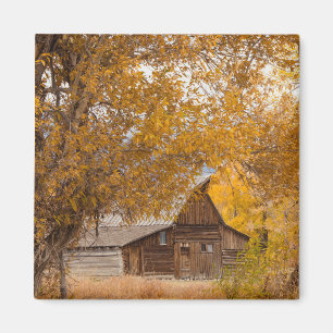 Autumn at Mormon Row Magnet