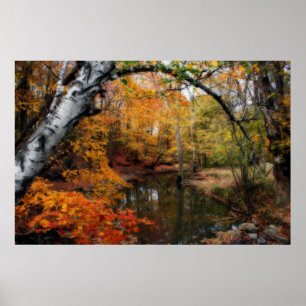 Autumn At Petrifying Springs Poster