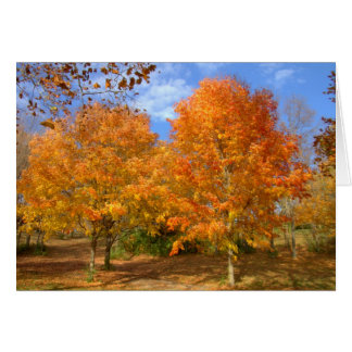 Autumn At Silver Lake #6