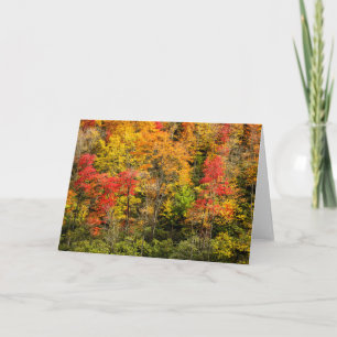 Autumn at Sims Pond North Carolina, Blue Ridge Card