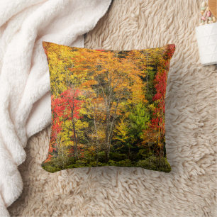 Autumn at Sims Pond North Carolina, Blue Ridge Cushion