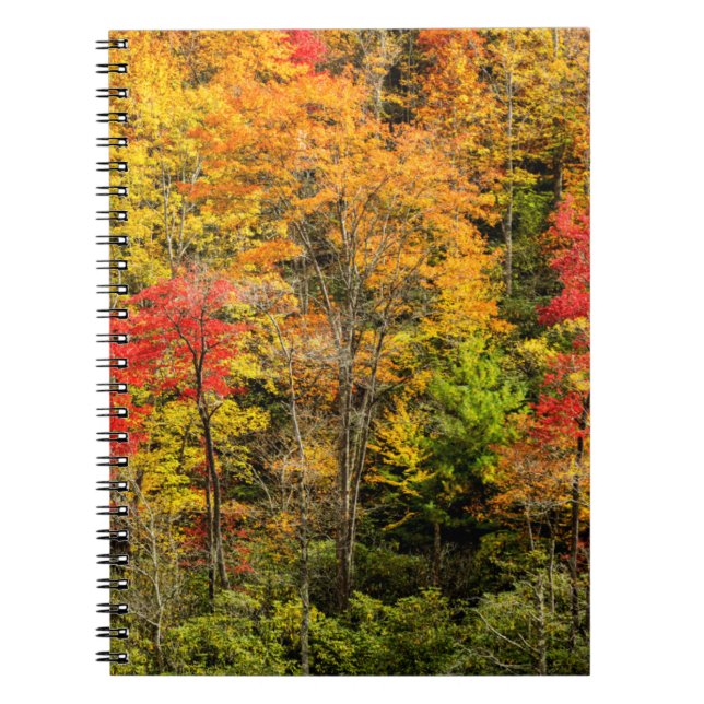 Autumn at Sims Pond North Carolina, Blue Ridge Notebook (Front)