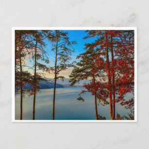 Autumn at SoHo Postcard