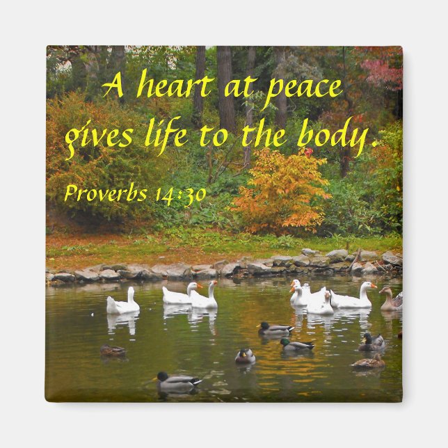 Autumn at the Duck Pond Magnet (Front)