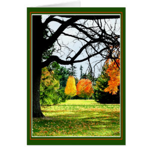 Autumn At The Park