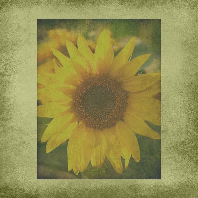 Autumn Aura Sunflower Scrapbook Paper (Creator Uploaded)